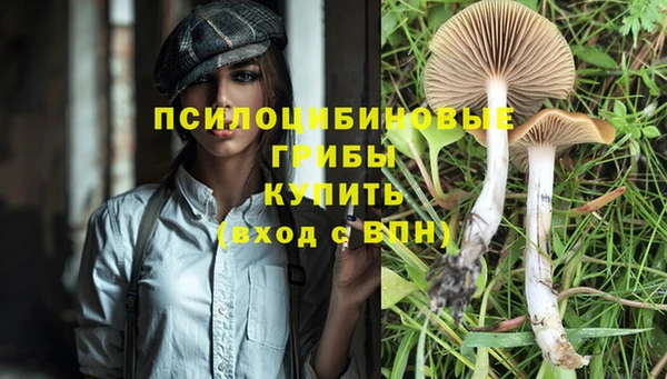 МДПВ Заволжск