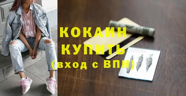 амф Новодвинск